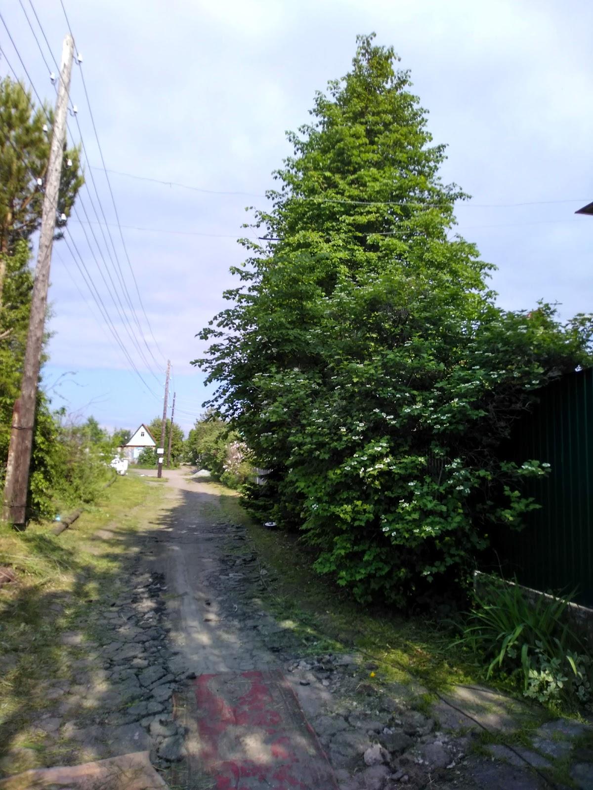 Фото с Google