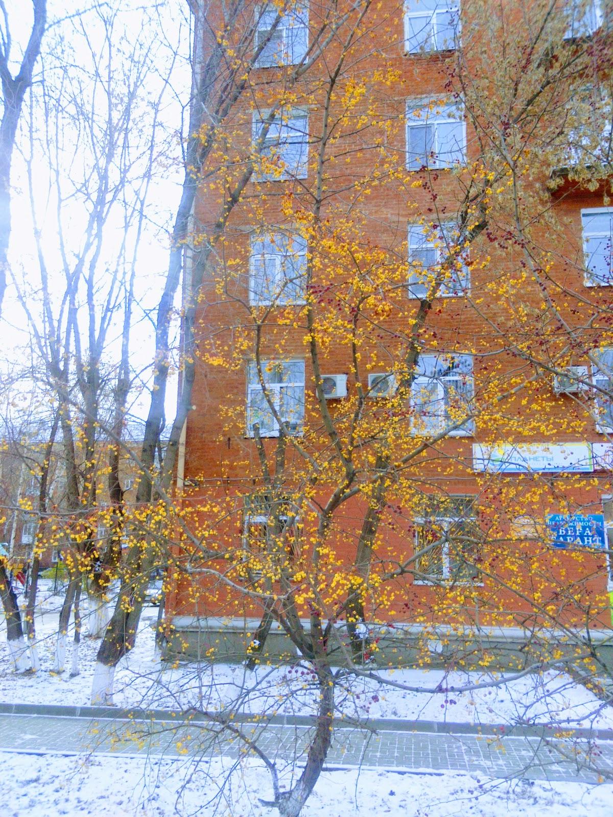 Фото с Google
