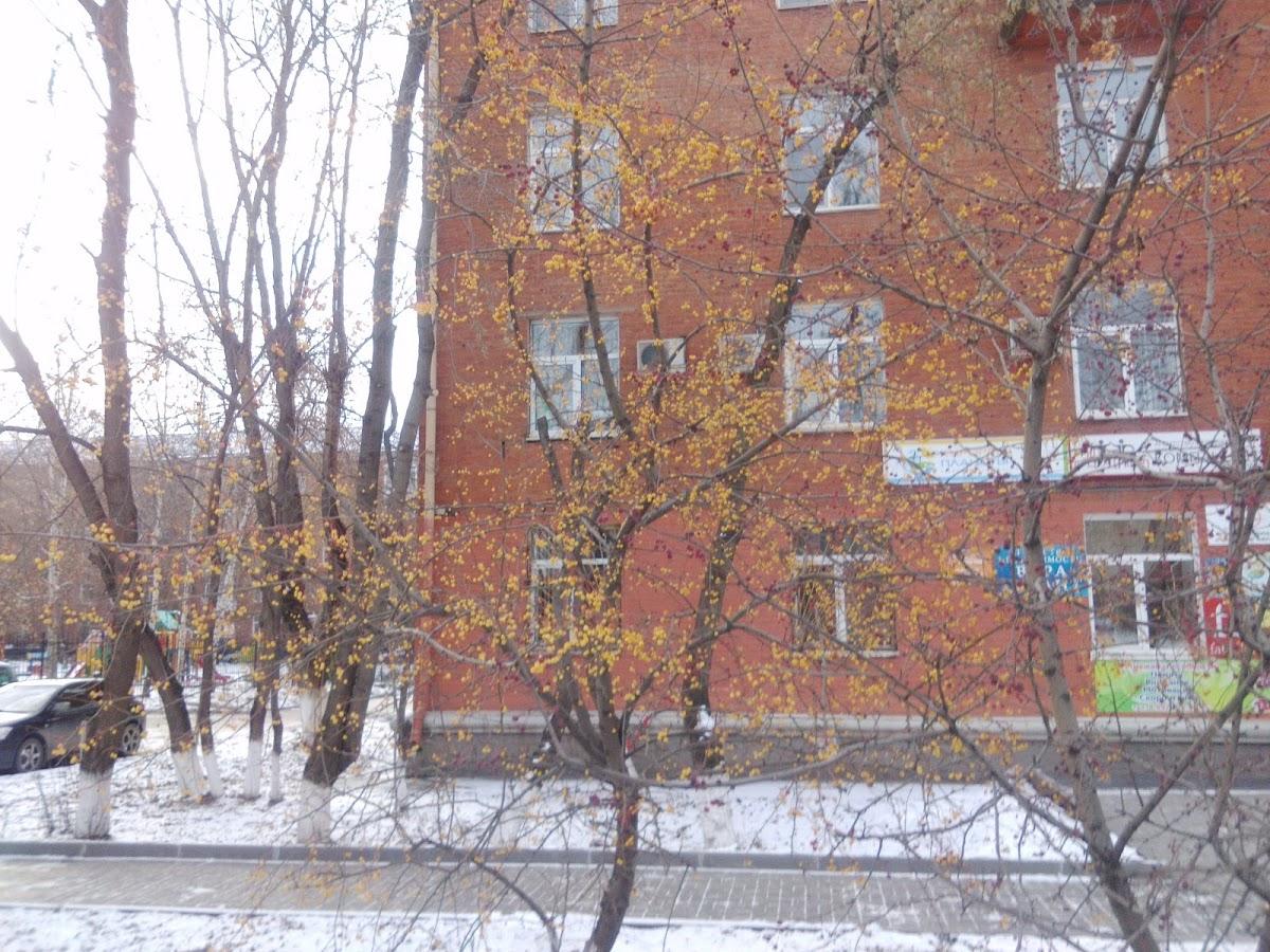 Фото с Google