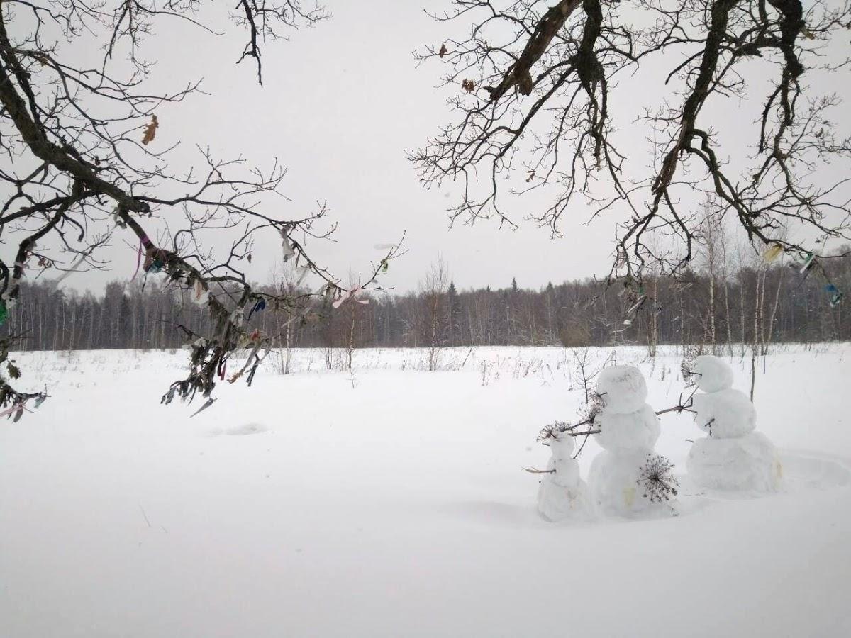 Фото с Google