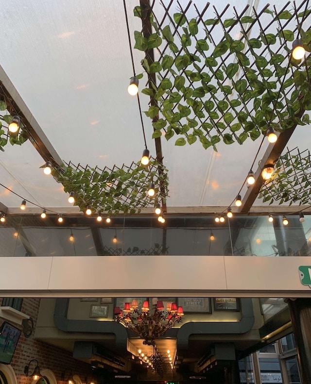 Фото с Zomato