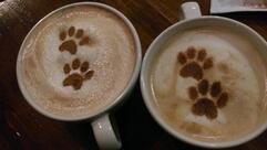 Кофейня