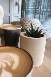 Sovka coffee