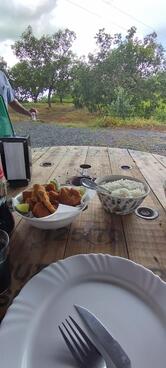 Santa Barbara Camping Bar