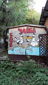 Чайка