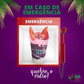 Carol Coxinhas (Forquilhinhas, SC)