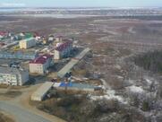 Arctic Burger