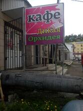 Дикая орхидея