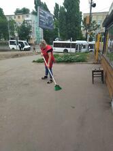 Сокурские хлеба
