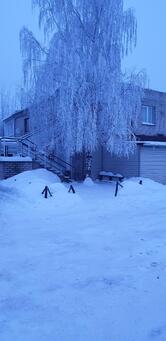 Кафе у гарика
