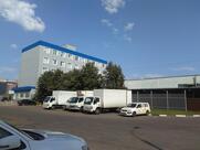 Сахалинская Рыба