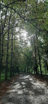 Парк
