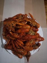 Пиво Раки