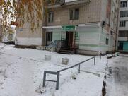 Береза