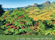 ALVES CAFE INDUSTRIA & COMERCIO LTDA