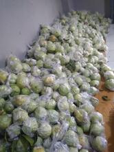 RUJAK jambu kristal bang jack