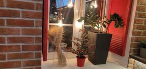 Пиццаменто