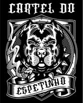 Motorista particular uber