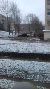 ФаСоль