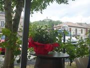 Le Vinaie Enoteca In Monleale