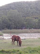 Море