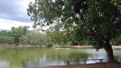 Pesqueiro Recanto Sertanejo