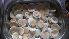 Restaurante Fazendinha e Sacolé da rosa