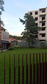 Бальный Зал Ples
