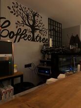 Coffee tree