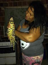 Cafeteria Cafe & Cultura