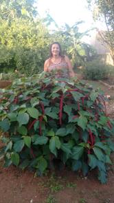 Maria do Socorro B Costa Bar