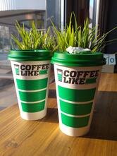 Coffee Like