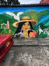 Cusuaka cafés [ Boutique & Coffeeshop ] - Torréfaction / Brûlerie artisanale