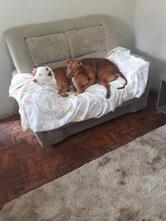 Restaurante Point de Benfica