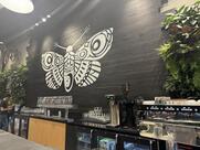 Nocterra Brewing Co. - Audubon