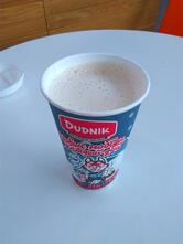 Dudnik