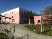 Камчатский хлеб