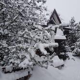Гостевая Усадьба