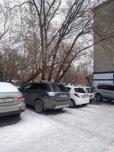 Лейла