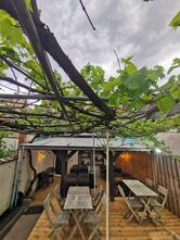 WYNGS brunch-restaurant