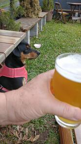 Rusty Co. Coffee 'n Beer Cafeteria e Bar no Batel