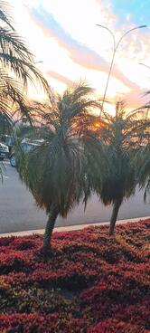 SBRR centro Comercial