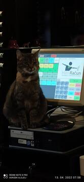 Saša bar, Saša Markoja s.p.