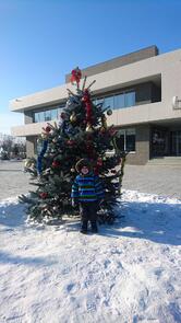 Фарфор