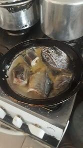 Barraca do Alderi - restaurante