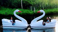 Caldo de Cana Prensa e Pedalinho do Vavá