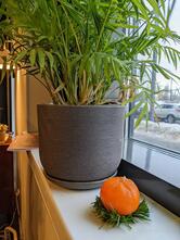 Соседи. Кофе