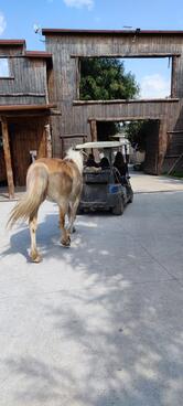 Maneggio Il Vecchio West