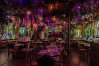 Jungle Palace by Ephemera