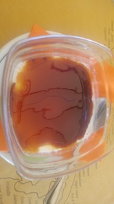 Bar - Tavola Calda Wine & Food